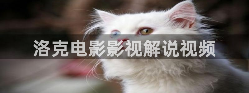 苏樱花视频大全：洛克电影影视解说视频