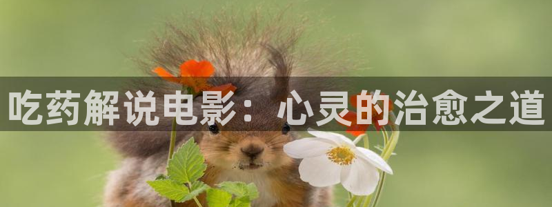 樱花影院电视剧免费观看：吃药解说电影：心灵的治愈之道