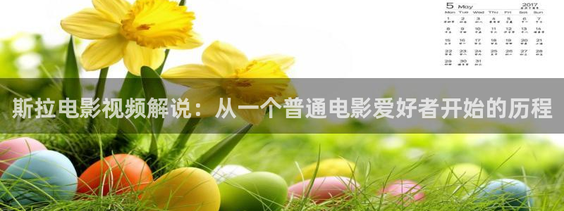 在线观看樱花视频：斯拉电影视频解说：从一个普通电影爱好者开始的历程