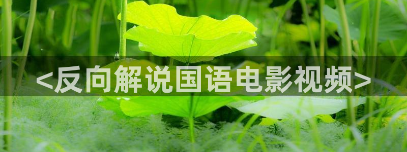 樱花影院电视剧大全：<反向解说国语电影视频>