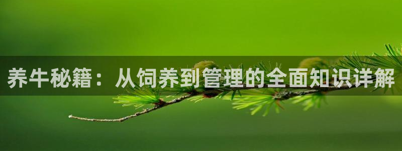 9·1樱花视频：养牛秘籍：从饲养到管理的全面知识详解