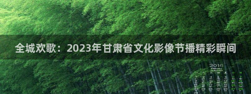 樱花视频高清观看：全城欢歌：2023年甘肃省文化影像节播精彩瞬间